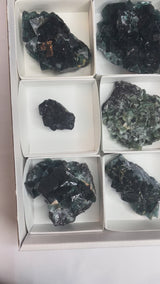 24 piece Fluorite Wholesale Flat | Butterfly ‘Test’ Pocket, Okorusu Mine, Namibia, Africa.