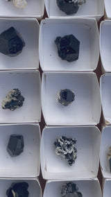 Black Tourmaline Wholesale Flat - 24 pieces from Erongo Mountain, Erongo Region, Namibia