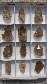 Kundalini Citrine Wholesale Flat 12 pieces from Democratic Republic of Congo