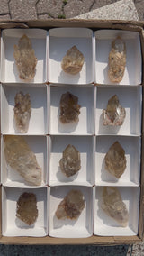 Kundalini Citrine Wholesale Flat 12 pieces from Democratic Republic of Congo