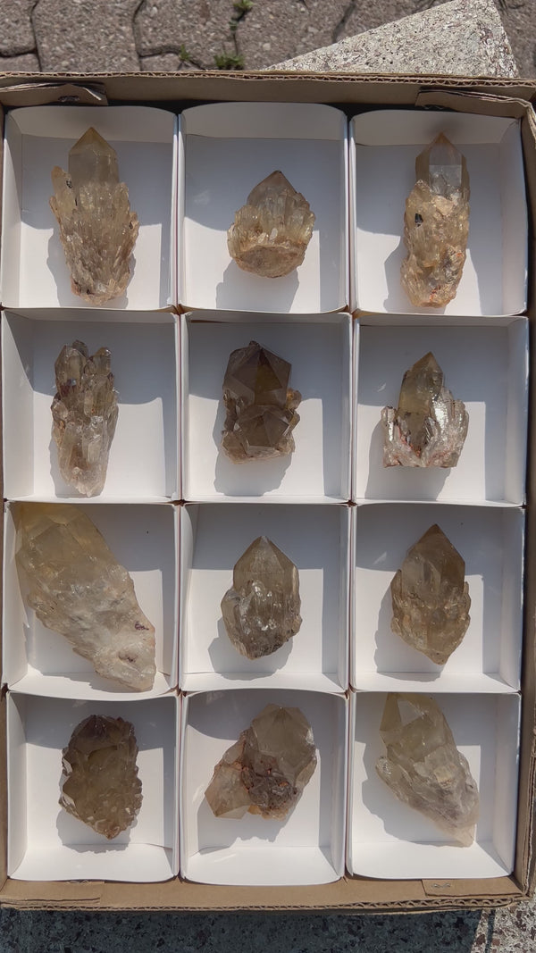 Kundalini Citrine Wholesale Flat 12 pieces from Democratic Republic of Congo