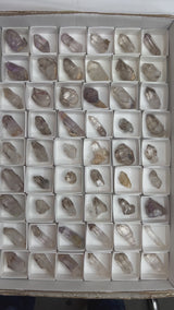 Brandberg Quartz Wholesale Flat from the Brandberg District, Goboboseb, Erongo Region, Namibia