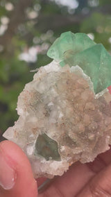 Orange River Fluorite from Riemvasmaak South Africa