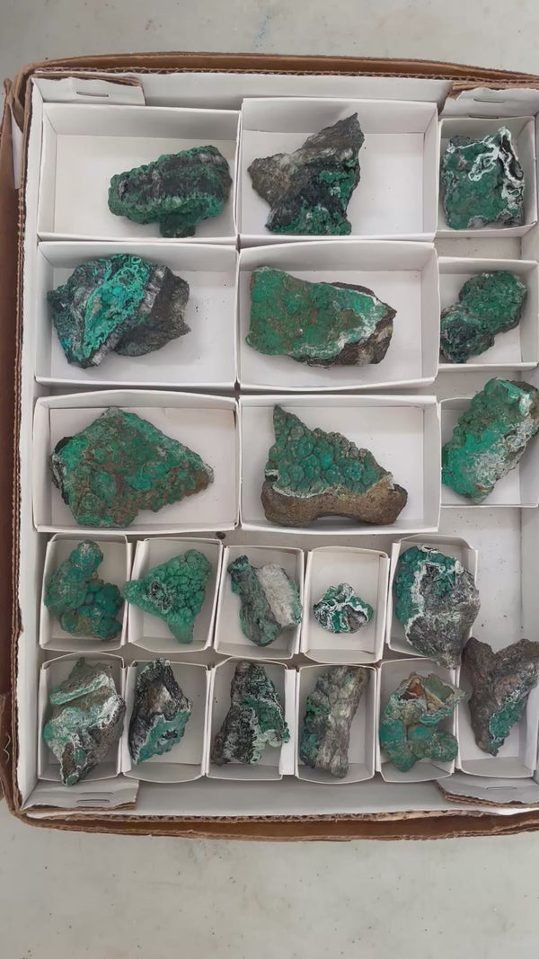 20 Piece Flat of Vibrant Chrysocolla with Malachite & Brochantite, from Usakos, Erongo Region, Namibia