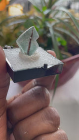 Pen Fluorite, Erongo Mountain, Erongo Region, Namibia, Africa