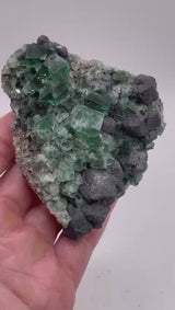 UK Fluorite with Galena from the Greedy Hog Pocket, Diana Maria Mine, England