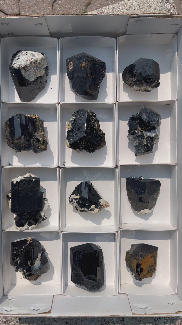 Black Tourmaline Flat 12 pieces from the Erongo Region Namibia