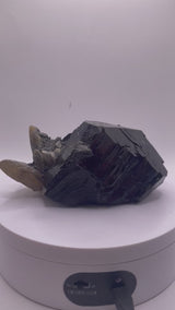 Black Tourmaline with Smoky Quartz from Erongo Mountain, Erongo Region, Namibia