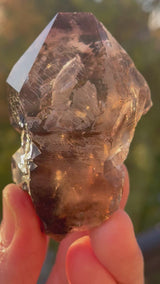 Brandberg Quartz from the Littleones Claim, Goboboseb, Erongo Region, Namibia
