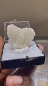 Closed Japan Law Twin Quartz Perky from Madagascar