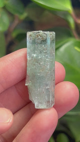 Aquamarine Specimen with Feldspar from Erongo Mountain, Erongo Region, Namibia