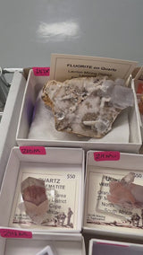 Dana K June 19 Mineral Nexus