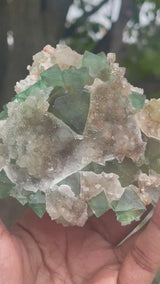 Orange River Fluorite from Riemvasmaak South Africa