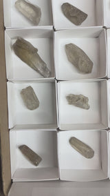 35 PIECE NATURAL CITRINE WHOLESALE FLAT | MARONDERA MASHONALAND EAST, ZIMBABWE