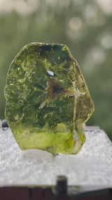 Liddicoatite Tourmaline Slice from Madagascar