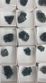 Fluorite Singles from the Butterfly ‘Test’ Pocket, Okorusu Mine, Namibia, Africa.