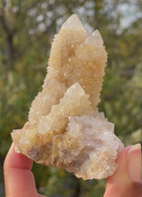 Spirits Quartz - Wholesale flat from Boekenhouthoek, South Africa - 16 pieces (2.770 kg)