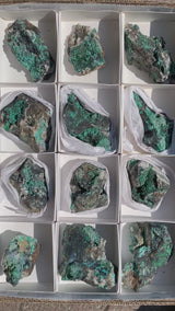 Malachite and Chrysocolla Flat 12 pieces from Usakos, Erongo Region, Namibia
