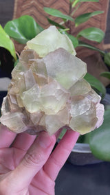 Fluorite from Rogers Mine, Huntingdon Township, Hastings County, Ontario, Canada