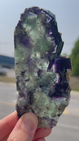 Purple and Green Okorusu Fluorite Slice from the Okorusu Mine, Namibia, Africa.