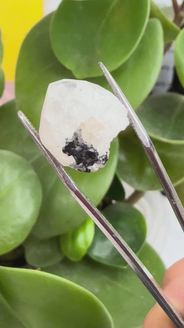 Gemmy Nigerian Phenakite Crystal with black tourmaline  from Okuta-Didan Mine, Jos Plateau, Nigeria