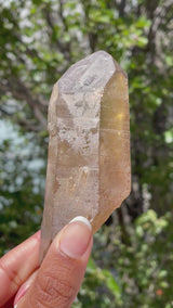 Natural-Citrine-Quartz-From-Mansa-Zambia-Citrine-Point-10-9-cm-video