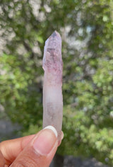 Natural Shangaan Amethyst Scepters Wholesale flat – 1.714 kg, 18 Pieces from Chibuku Mine, Zimbabwe