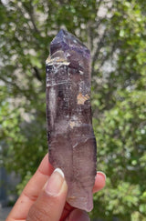 Natural Shangaan Amethyst Scepters Wholesale flat – 1.714 kg, 18 Pieces from Chibuku Mine, Zimbabwe