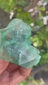 Orange River Fluorite from Riemvasmaak South Africa