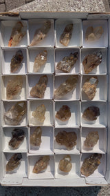 Kundalini Citrine Wholesale Flat 24 pieces from Democratic Republic of Congo