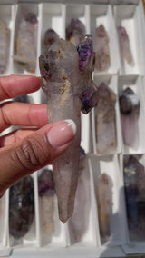 Natural Shangaan Amethyst Scepters Wholesale flat – 1.714 kg, 18 Pieces from Chibuku Mine, Zimbabwe