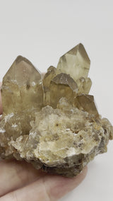 1 kg 10 piece Kundalini citrine Quartz Wholesale Flat, Congo Citrine, Natural Citrine, Lwena, Democratic Republic of Congo, Kundalini Citrine Crystal, Citrine Point, Phantom