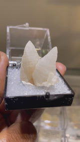 Open Japan Law Twin Quartz Perky from Madagascar