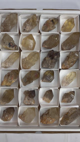 Kundalini Citrine Wholesale Flat 24 pieces from Democratic Republic of Congo