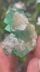 Orange River Fluorite from Riemvasmaak South Africa
