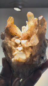 Kundalini Citrine Cluster | Luena, Katanga, Democratic Republic of Congo