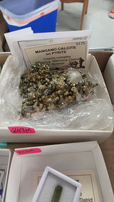 Dana K June 19 Mineral Nexus