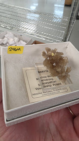 Courtney H Mineral Nexus June 19