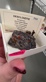 Courtney Hynes Mineral Nexus June 20