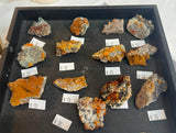 cretaceous artifacts July 8