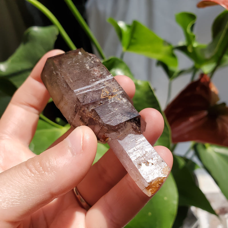 Double Enhydro Shangaan Amethyst Sceptre, 81g, Beautiful Purple Colour, From Chibuku Mine, Zimbabwe