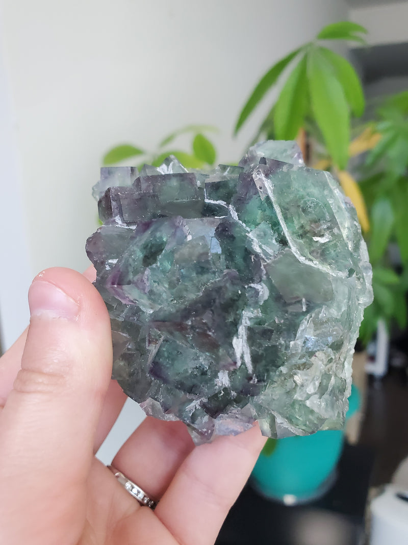 Green Fluorite, 260 g, Okarusu Fluorite from Okarusu Mine, Namibia, Africa. Namibian Okarusu Fluorite