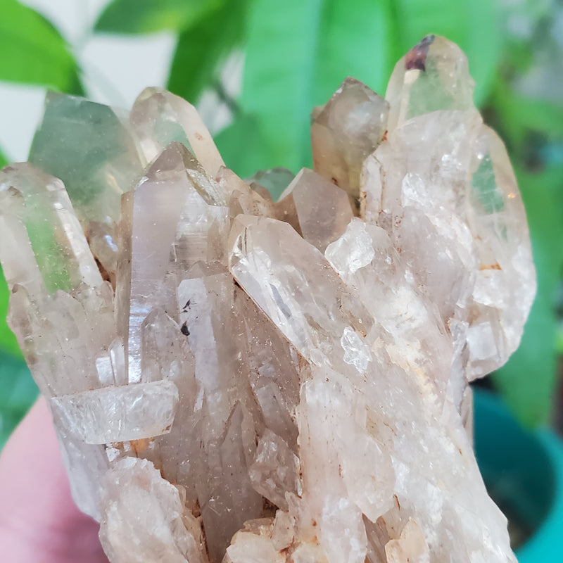 3.26" Sizeable, Twin Peak Kundalini Quartz, Democratic Republic of Congo, Lwena, Congo Smoky Quartz