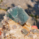 Brandberg Fluorite with milky quartz on feldspar matrix from the Brandberg Mountain