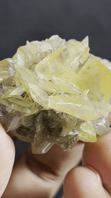 Gypsum Var. Selenite, Fluorescent and Phosphorescent. Red River Floodway, Winnipeg, Manitoba, Canada