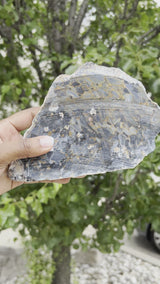 7.8” Pietersite Slice from Outjo District, Kunene Region, Namibia