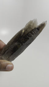 Smoky Quartz, Mulanje, Southern Region, Malawi