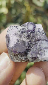 Gorgeous Fluorite Specimen, Erongo Mountain, Erongo Region, Namibia