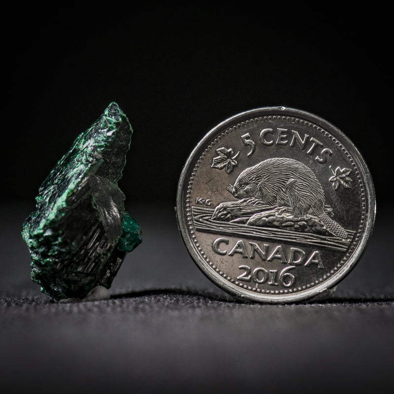 Dioptase, 24 carats (4.8 grams), Kunene Region, Namibia, Africa