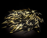 100 Pack of Porcupine Quills From Namibia (CANADA ONLY)
